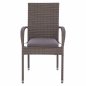 Mobile Preview: Outdoor Chair Wicker with Pillow Gray