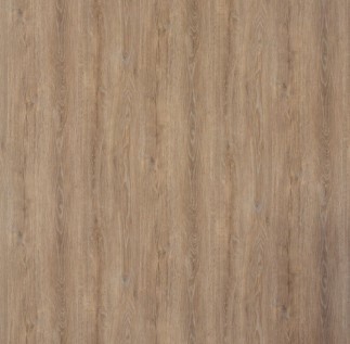 160 x 80 cm