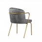 Preview: Sessel "Gama" aus grauem Samt und goldenem Metallgestell
