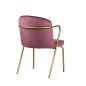 Preview: Sessel "Gama" aus rose Samt und goldenem Metallgestell
