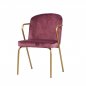 Preview: Sessel "Gama" aus rose Samt und goldenem Metallgestell