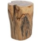 Preview: STUMP BEISTELLTISCH STAMM AUS MASSIVEM TEAK NATURAL Φ30-35X45