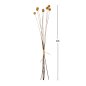 Preview: DEKORATIVER GETROCKNETER STRAUSS CRASPEDIA GLOBOSA GELB 63cm