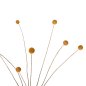 Preview: DEKORATIVER GETROCKNETER STRAUSS CRASPEDIA GLOBOSA GELB 63cm