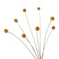 Preview: DEKORATIVER GETROCKNETER STRAUSS CRASPEDIA GLOBOSA GELB 63cm