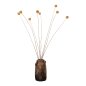 Preview: DEKORATIVER GETROCKNETER STRAUSS CRASPEDIA GLOBOSA GELB 63cm