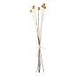 Preview: DEKORATIVER GETROCKNETER STRAUSS CRASPEDIA GLOBOSA GELB 63cm
