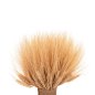 Preview: DEKORATIVER BOUQUET GETROCKNETE BECHER NATURAL 48cm