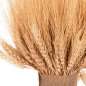 Preview: DEKORATIVER BOUQUET GETROCKNETE BECHER NATURAL 48cm
