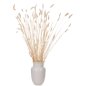 Preview: DEKORATIVER GETROCKNETER BOUQUEΤ KANINCHENSCHWANZ CREME 76cm