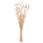 Preview: DEKORATIVER GETROCKNETER BOUQUEΤ KANINCHENSCHWANZ CREME 76cm