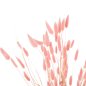 Preview: DEKORATIVER GETROCKNETER STRAUSS KANINCHENSCHWANZ-ROSA 75cm