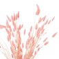 Preview: DEKORATIVER GETROCKNETER STRAUSS KANINCHENSCHWANZ-ROSA 75cm