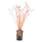 Preview: DEKORATIVER GETROCKNETER STRAUSS KANINCHENSCHWANZ-ROSA 75cm