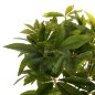 Preview: DEKORATIVE SYNTHETISCHE PFLANZE IM TOPF 100cm