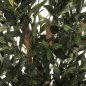 Preview: DEKORATIVE SYNTHETISCHE PFLANZE OLIVE IM TOPF 155 cm