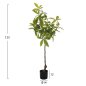 Preview: DEKORATIVE SYNTHETISCHE PFLANZE DICK MIT TOPF 125 cm