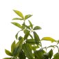 Preview: DEKORATIVE SYNTHETISCHE PFLANZE DICK MIT TOPF 125 cm