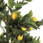Preview: DECORATIVE SYNTHETIC PLANT LEMON TREE IN POT Φ15x12-170cm