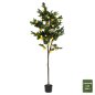 Preview: DECORATIVE SYNTHETIC PLANT LEMON TREE IN POT Φ15x12-170cm