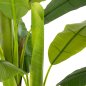 Preview: DEKORATIVE SYNTHETISCHE PFLANZE BANΑΝΑ-BAUM IM TOPF 123 cm