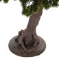Preview: DEKORATIVE SYNTHETISCHE PFLANZE IM TOPF SCHÖNER KIEFERBAUM (BONSAI) 55x130x114Hcm
