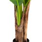 Preview: DEKORATIVE SYNTHETISCHE PFLANZE BANΑΝΑ-BAUM IM TOPF 150 cm