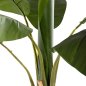 Preview: DEKORATIVE SYNTHETISCHE PFLANZE BANΑΝΑ-BAUM IM TOPF 180 cm
