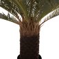 Preview: DECORATIVE SYNTHETIC PLANT SPIKE-LEAF PALM TREE IN POT 94 cm