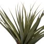Preview: DEKORATIVE SYNTHETISCHE PFLANZE SISALBAUM IM TOPF 200 cm