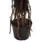 Preview: DEKORATIVE SYNTHETISCHE PFLANZE SISALBAUM IM TOPF 200 cm