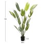 Preview: DEKORATIVE SYNTHETISCHE PFLANZE IM TOPF CALATHEA 140Hcm