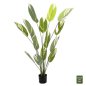 Preview: DEKORATIVE SYNTHETISCHE PFLANZE IM TOPF CALATHEA 140Hcm