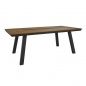 Preview: Garten Esstisch aus Aluminium grau und Holz