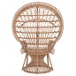 Preview: ΠΟΛΥΘΡΟΝΑ ROYAL PEACOCK RATTAN ΣΕ ΦΥΣΙΚΟ-ΜΑΞΙΛΑΡΙ ΜΠΕΖ 114x72x150Yεκ.