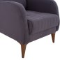 Preview: SESSEL "BERZERA HAYES" AUS GRAU SAMT 70x80x98 cm