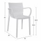 Preview: SESSEL "NERISSA" AUS POLYPROPYLEN WEISS 55Χ53Χ81