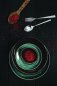 Preview: Flat plate Tognana Material Green Ø23.5xH 3 cm 6 set