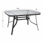 Preview: Set 7 pieces Table Metallic grey 160x90 with 6 armchairs grey wicker