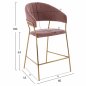 Preview: MEDIUM HEIGHT STOOL THEODORE ROSE VELVET WITH BLACK FRAME 60x55x100 cm