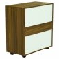 Preview: MELAMIN-SCHUBLADEN MIT 4 WALNER-SCHUBLADEN 80x40x83cm.