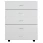 Preview: MELAMINE DRAWER WITH 5 WHITE DRAWERS 80Χ40Χ100 cm