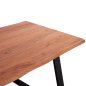 Preview: Tisch aus massivem Akazienholz  200x100x77Y cm | Baumstamm Möbel