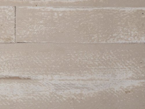 Wood Brusherd Coral
