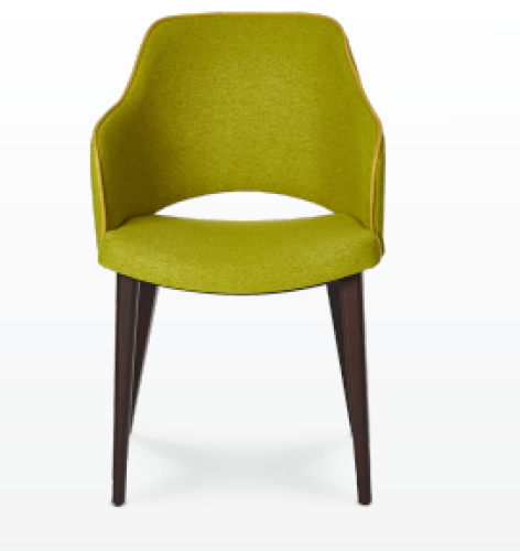 Eleganter Esszimmer Stuhl Shark P1