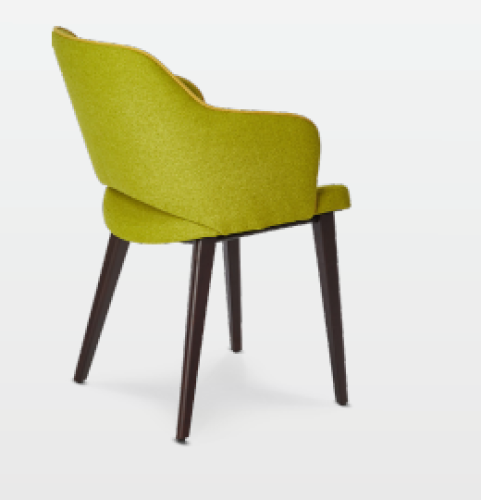 Eleganter Esszimmer Stuhl Shark P1