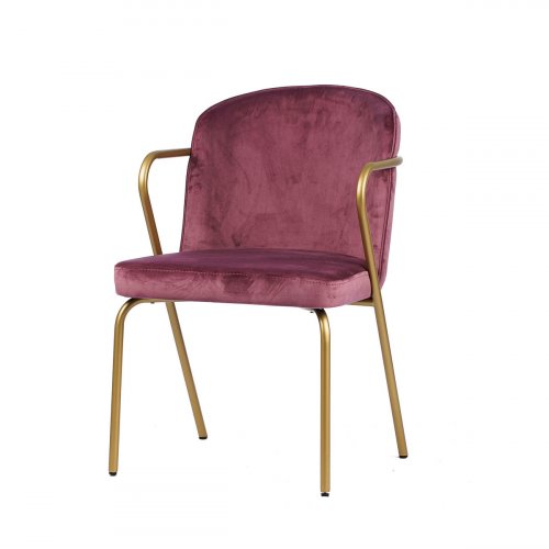 Sessel "Gama" aus rose Samt und goldenem Metallgestell