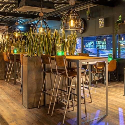 Bar stool "Skool Skai / beech" with synthetic leather seat, wooden back (beech) and metal frame in brown