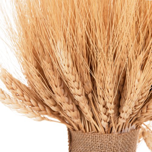 DEKORATIVER BOUQUET GETROCKNETE BECHER NATURAL 48cm
