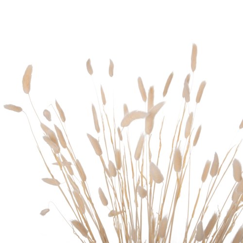 DEKORATIVER GETROCKNETER BOUQUEΤ KANINCHENSCHWANZ CREME 76cm